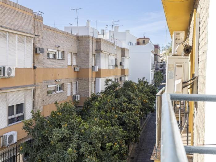 Pureza Dreams De Sevilla Oasis En Triana 외부 사진